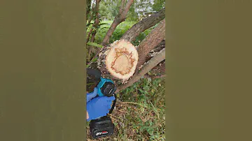 Patuopro chainsaw hard test- part 2/ аккумуляторная цепная пила тест 2